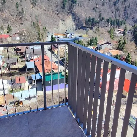 Jacuzzi Belle View Sinaia-free Parking Apartment *