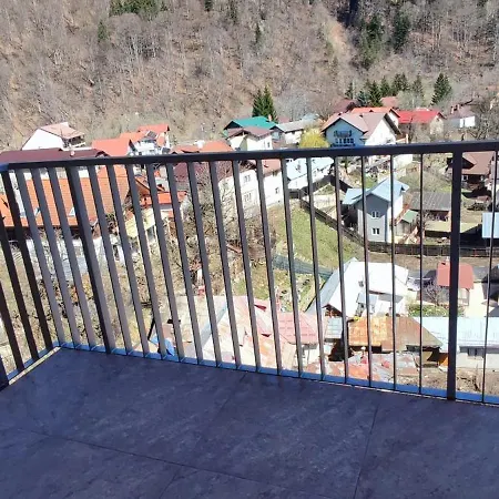 Jacuzzi Belle View Sinaia-free Parking Apartment Sinaia