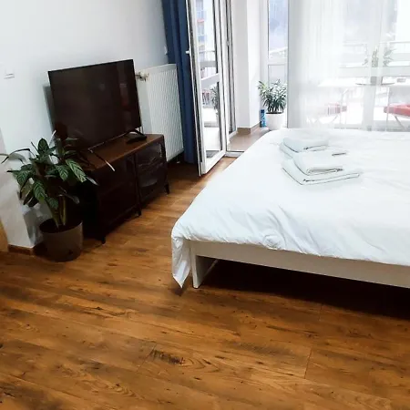 Jacuzzi Belle View Sinaia-free Parking Apartment *