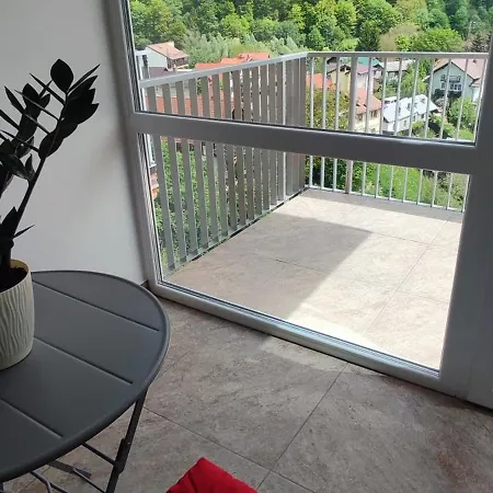 Jacuzzi Belle View Sinaia-free Parking *